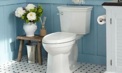 ما تفسير رؤية المرحاض الارضي في المنام لابن سيرين