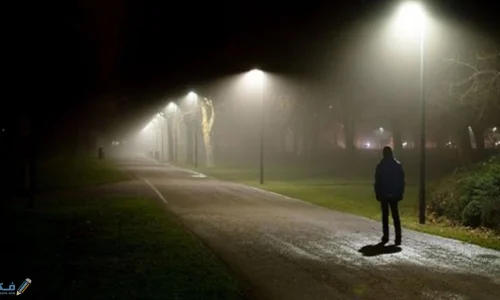 ما تفسير رؤية المشي في الشارع ليلًا في المنام للعزباء لابن سيرين؟