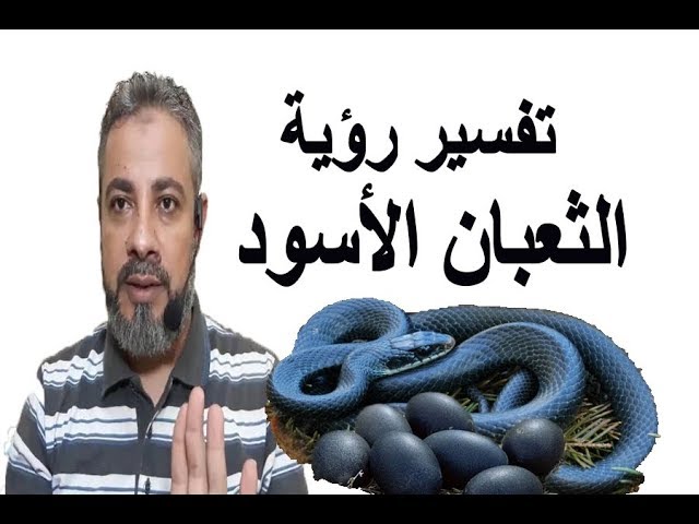 تعرف على تفسير حلم رؤية ثعبان أسود في المنام لابن سيرين